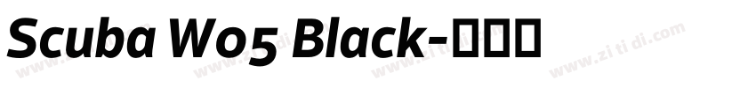 Scuba W05 Black字体转换